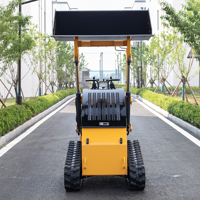 Crawler skid steer loader YZ-T360