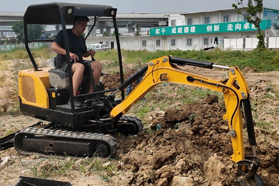 Mini Excavator Solution for Medicinal Herb Harvesting | Yizhan Group